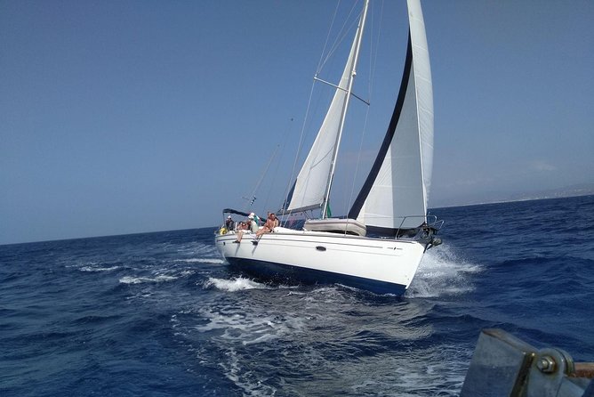 Heraklion | Half day Sailing cruise to Dia Island - How much value do you get for $80.25?