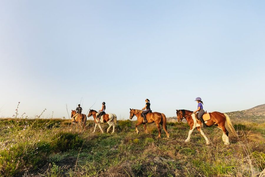 Heraklion: Horse Ride in the Cretan Mountains - Key points before you book