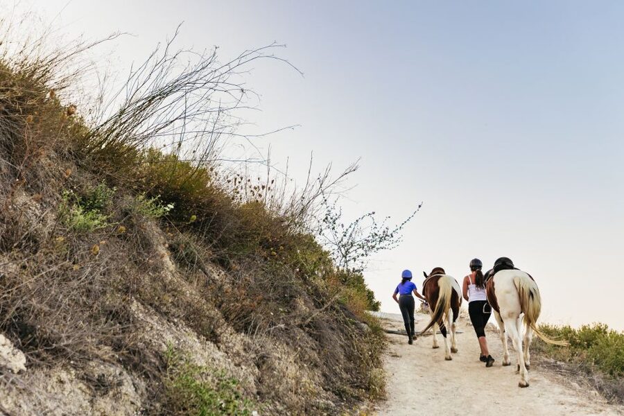 Heraklion: Horse Ride in the Cretan Mountains - Practical details for a smoother outing