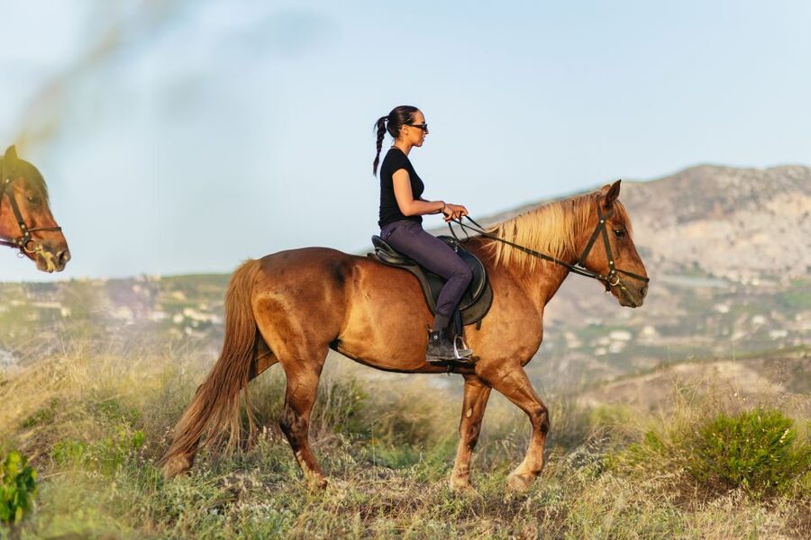 Heraklion: Horse Ride in the Cretan Mountains - The mountain pause and the best photo views