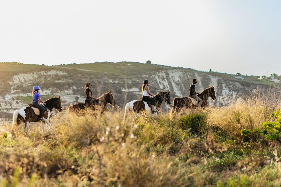 Heraklion: Horse Ride in the Cretan Mountains - The first lesson: getting comfortable with your horse