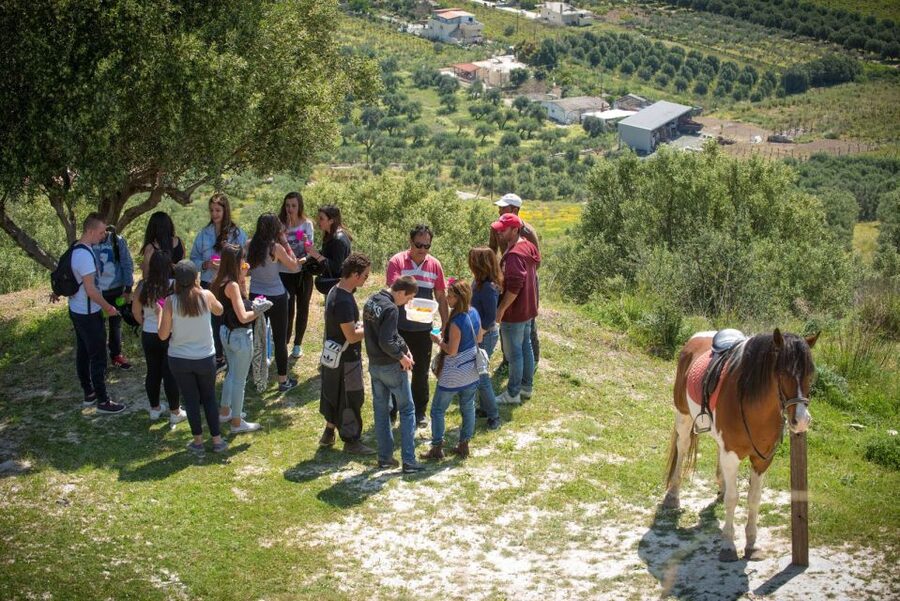 Heraklion: Horseriding Day Tour with Lunch and Transfer - Choosing a horse and getting comfortable