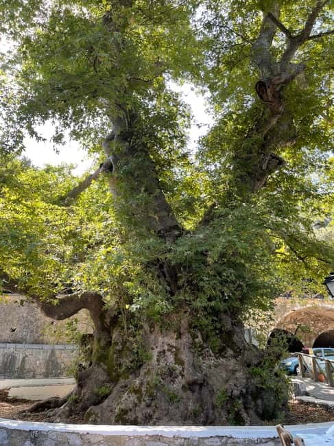 Heraklion: Knossos, Zeus, Villages & Olive Oil Factory Tour - Knossos closes the historical circle