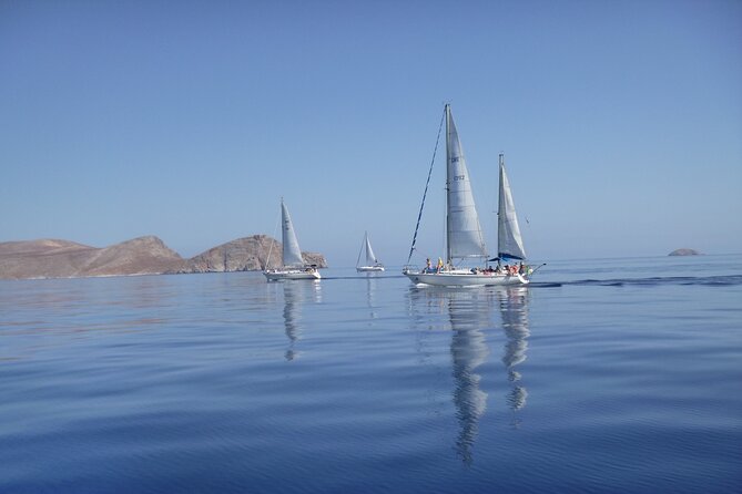 Heraklion: Nature Reserve Full day sailing to Dia Island & Lunch - Agios Georgios and lunch from the galley