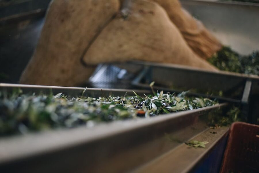 Heraklion: Olive Farm Tour with Tasting of Local Delicacies - From harvested olives to Kleanthi oil