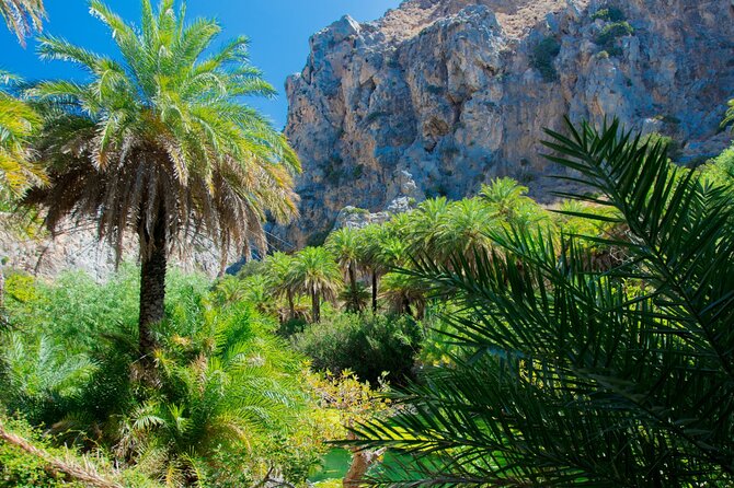 Heraklion: Preveli Boat Trip, Damnoni & Kourtaliotiko springs - Preveli Palm Beach: the main event