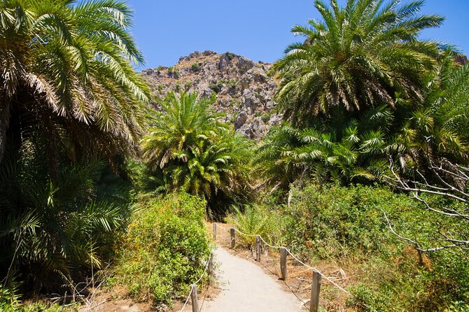 Heraklion: Preveli Boat Trip, Damnoni & Kourtaliotiko springs - Guides and group size
