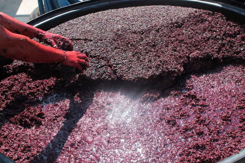 Heraklion: Private Food and Wine Tour with a local Sommelier - The second winery: six wines beside the vines