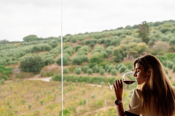Heraklion Private Half-Day Gastronomy Diaries Experience in Lyrarakis Winery - Wine and olive oil beneath the old olive tree
