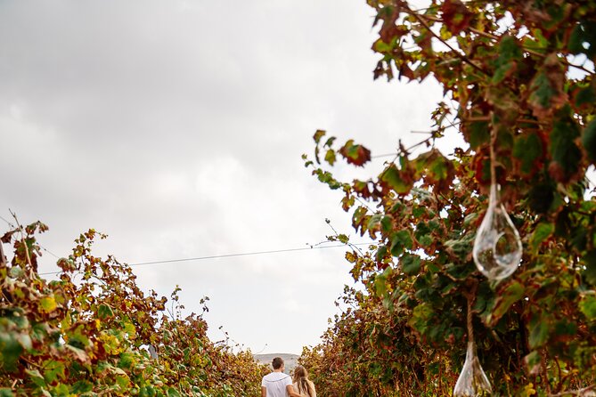 Heraklion Private Half-Day Gastronomy Diaries Experience in Lyrarakis Winery - The cellar and the bottles you may want to buy