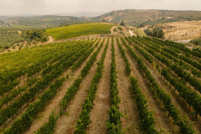 Heraklion Private Half-Day Gastronomy Diaries Experience in Lyrarakis Winery - Who will enjoy this most?