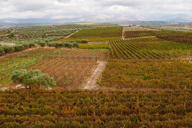 Heraklion Private Half-Day Wine Tasting Tour in Lyrarakis Winery - Six wines with a Cretan point of view