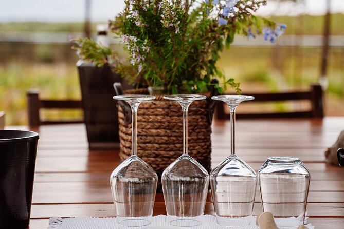 Heraklion Private Half-Day Wine Tasting Tour in Lyrarakis Winery - What the private format is worth