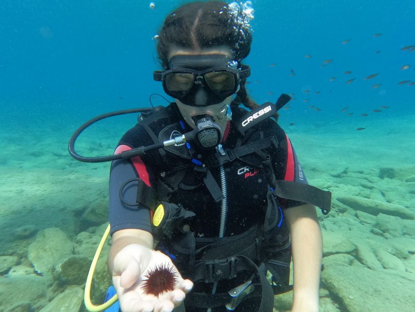 Heraklion: Scuba Diving Experience for Beginners _Beach - Who Should Book This Activity?