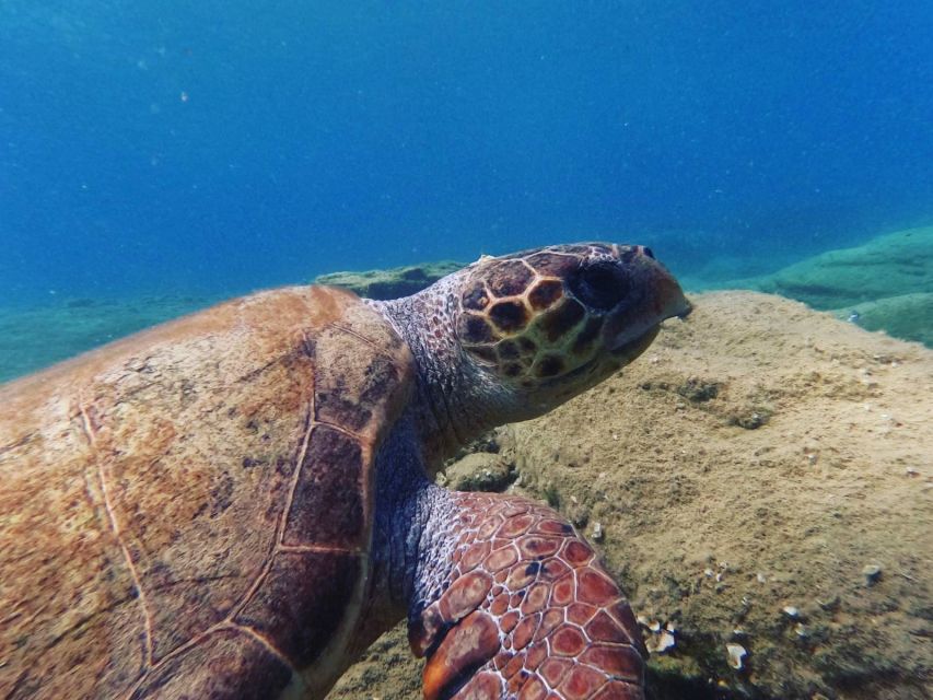 Heraklion: Scuba Diving Experience for Beginners _Beach - Why Nervous Beginners Often Enjoy It