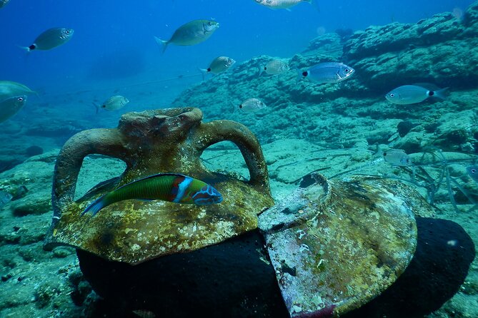 Heraklion: Scuba Diving Experience for Beginners - The 30-minute lesson comes first