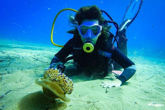 Heraklion: Scuba Diving Experience for First-Timers - A closer look at the six-hour schedule