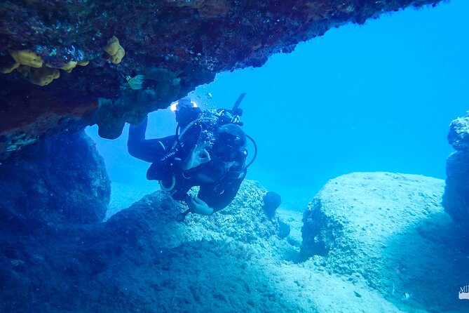 Heraklion: Scuba Diving Experience for First-Timers - Is $82 good value?