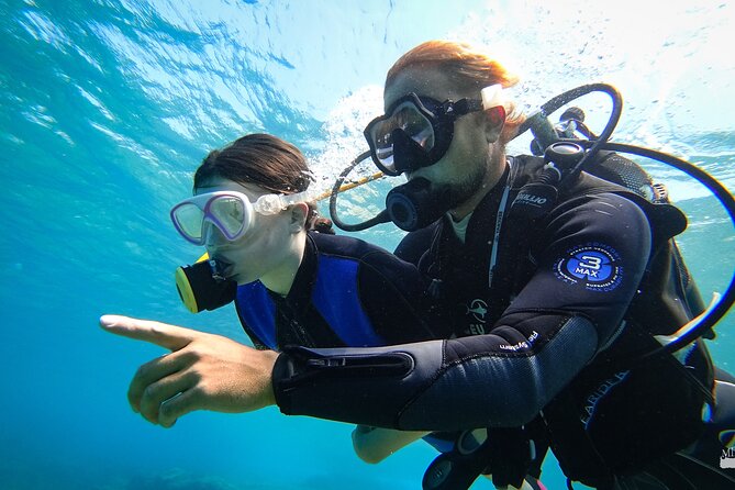 Heraklion: Scuba Diving Experience for First-Timers - Getting to Eurodiving and choosing the transfer