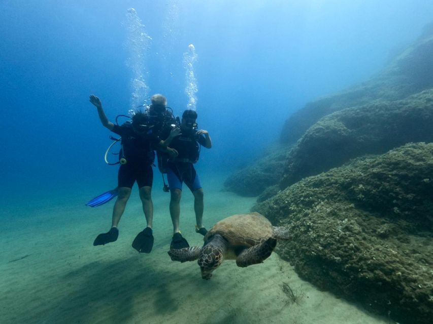 Heraklion: Scuba Diving Experience for First-Timers - Who should book this experience?