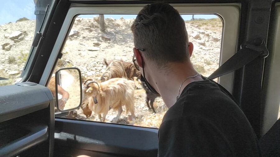 Heraklion: Self-Driving 4X4 Jeep Off-Road Tour with Lunch - Why this Crete 4X4 day feels different