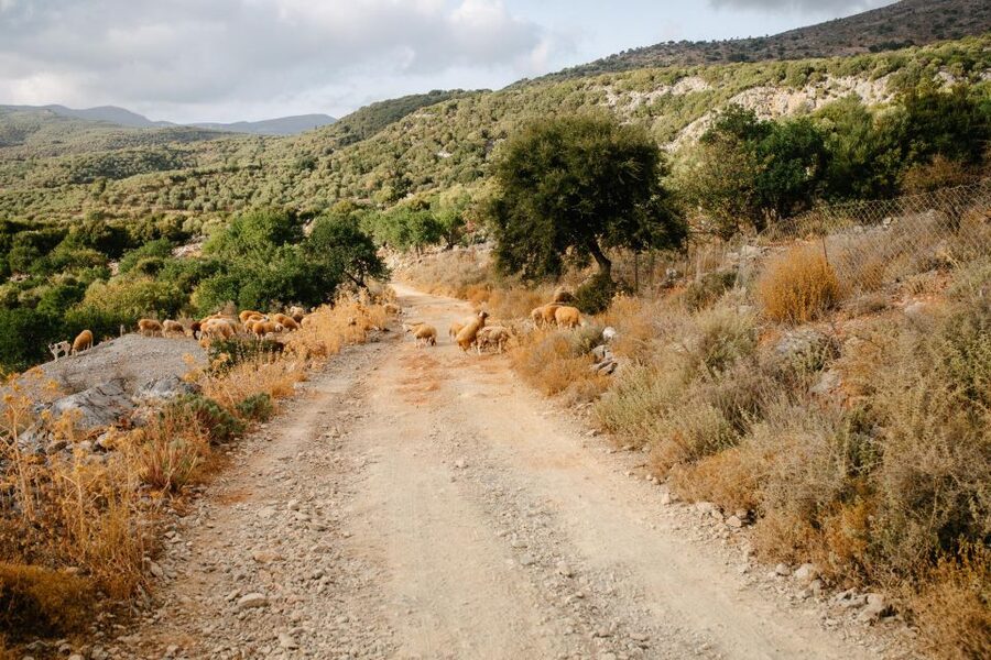 Heraklion: Self-Driving 4X4 Jeep Off-Road Tour with Lunch - Aposelemis Dam and the old aqueduct