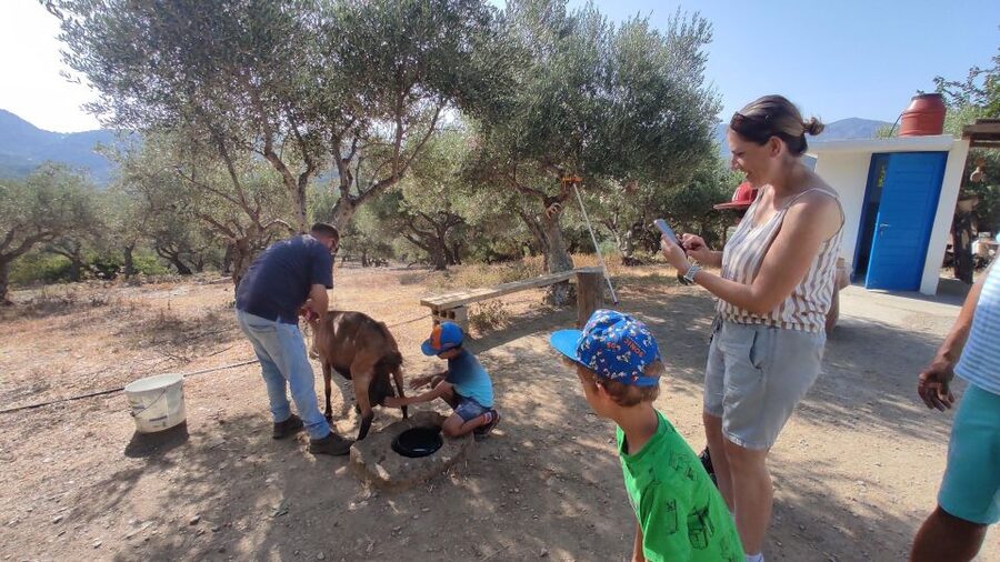 Heraklion: Self-Driving 4X4 Jeep Off-Road Tour with Lunch - Kastamonitsa, coffee, and a slower half-hour