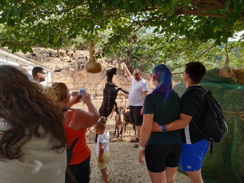 Heraklion: Self-Driving 4X4 Jeep Off-Road Tour with Lunch - The Minoan mountain tracks and the 1,200-meter viewpoint