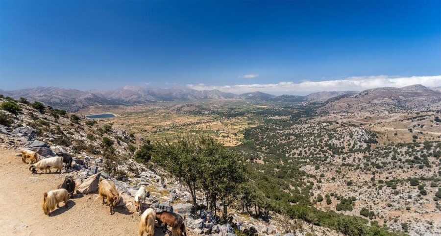 Heraklion: Sunset Safari with Dinner & Prosecco - Key points at a glance