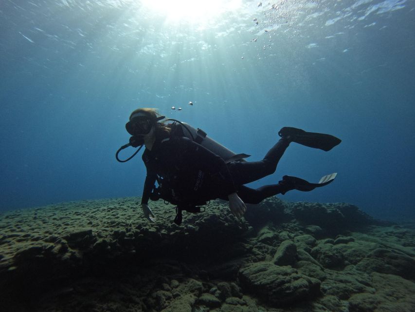 Heraklion: Try Scuba Diving For Beginners (1 dive) - Should you book this Crete scuba experience?
