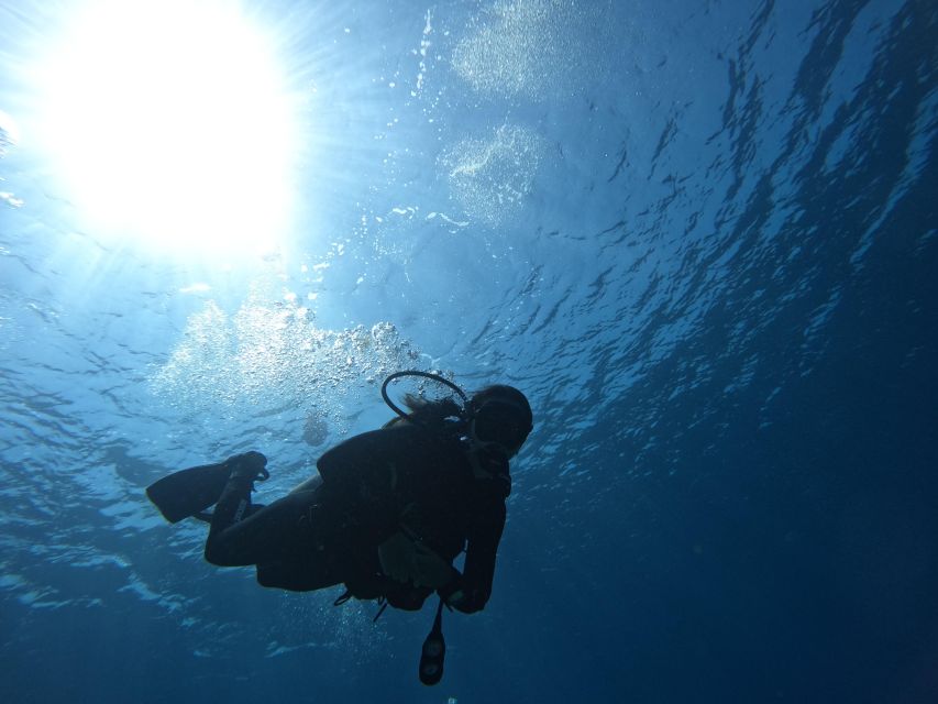 Heraklion: Try Scuba Diving For Beginners (1 dive) - Starting gently at Mononaftis Beach