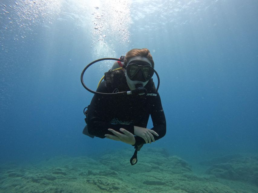 Heraklion: Try Scuba Diving For Beginners (1 dive) - Your first underwater session in the Cretan sea