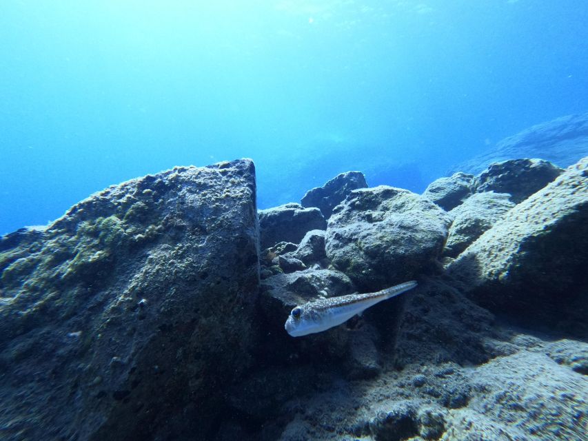 Heraklion: Try Scuba Diving For Beginners (1 dive) - Why the instructors matter so much