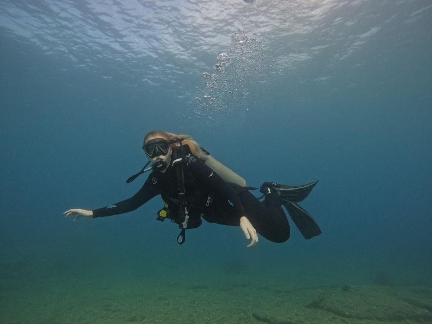 Heraklion: Try Scuba Diving For Beginners (1 dive) - Planning your half-day