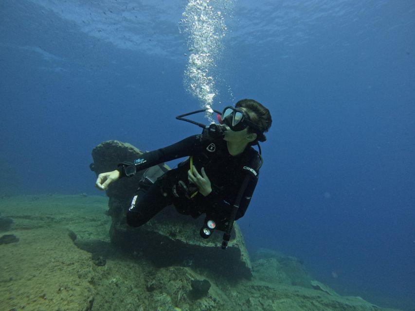 Heraklion: Try Scuba Diving For Beginners (1 dive) - Who will enjoy this most