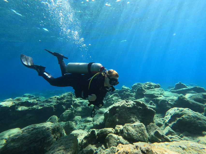 Heraklion: Try Scuba Diving For Beginners (1 dive) - Learning the basics before entering the water