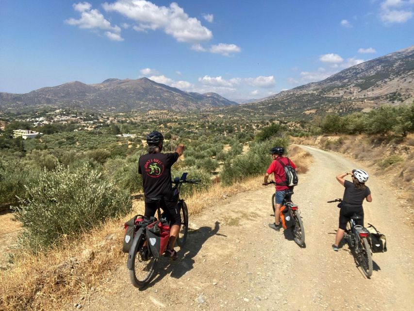 Heraklion: Wine Tasting E-Bike Tour - Dafnes, Crete’s wine center
