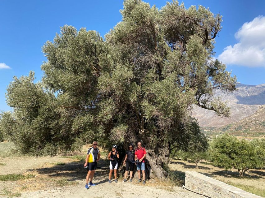 Heraklion: Wine Tasting E-Bike Tour - The car return makes the three-hour format work