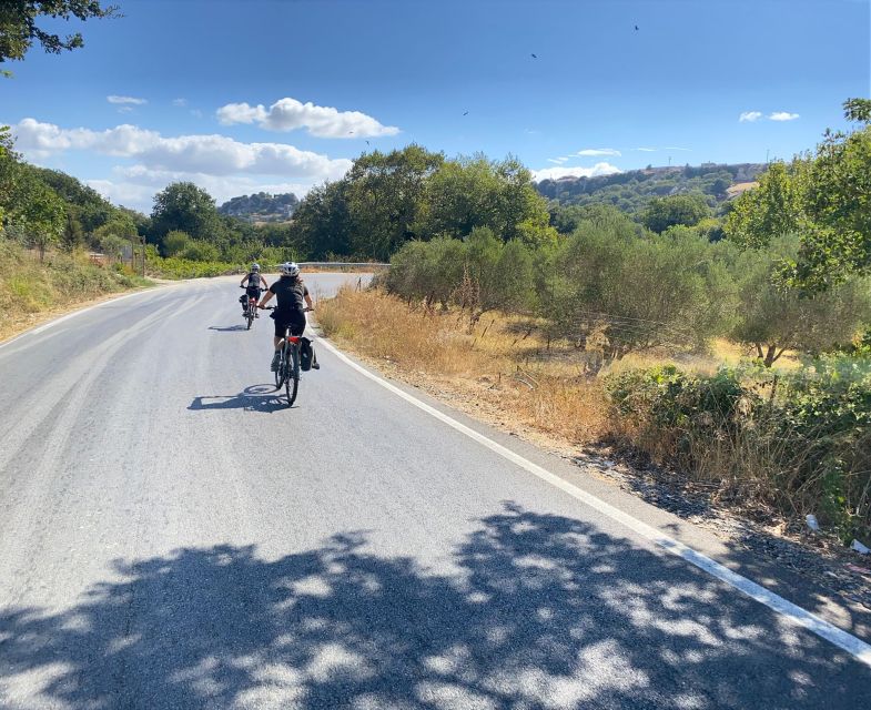 Heraklion: Wine Tasting E-Bike Tour - Aris sets the tone of the ride
