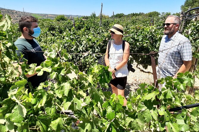 Heraklion wine tour & Cretan meze lunch - A guide who connects food, wine, and local life