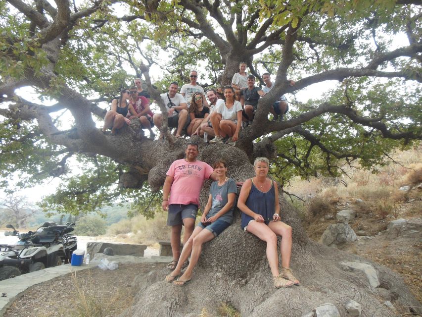Hersonisos - Malia :off-road quad safari with transfer+Lunch - Malia Palace: a brief look at Crete’s Minoan past