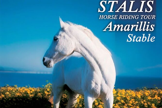 HORSE RIDING 1.5 hours mountains from area Hersonissos CRETE - Key points to know before you book