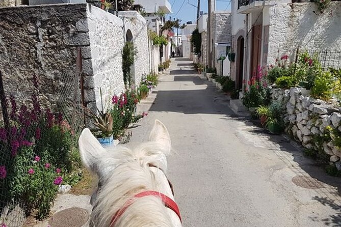 HORSE RIDING 1.5 hours mountains from area Hersonissos CRETE - Clothing, comfort, and who should book