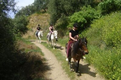 HORSE RIDING 1.5 hours mountains from area Hersonissos CRETE