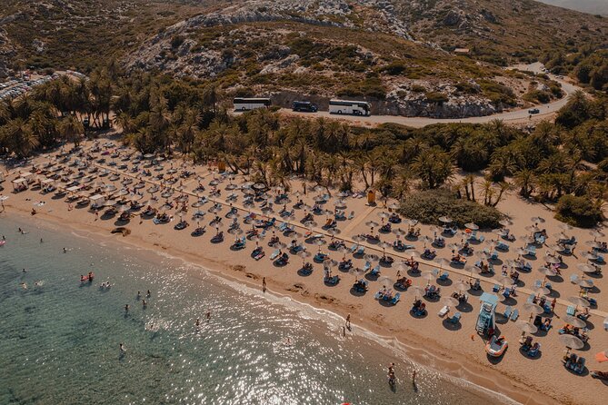 Ierapetra-Makrigialos: Vai Palm Beach, Moni Toplou & Sitia Tour - Is $56.78 a good value?