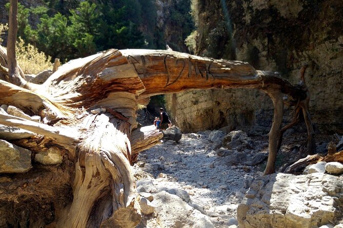 Imbros Gorge Adventure Day Trip from Chania - What to bring and how to prepare