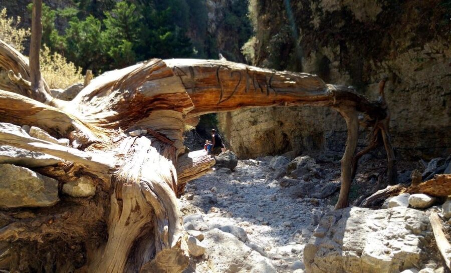 Imbros Gorge Hike From Rethymno - Walking the historic Imbros route