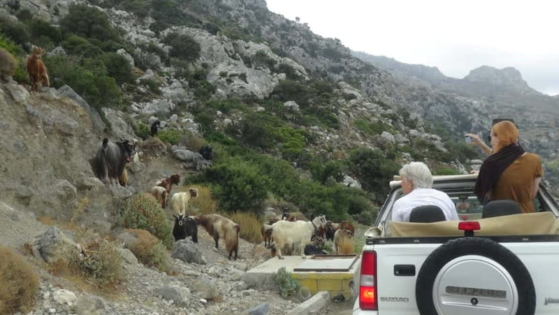 Jeep Driving Tour to Thripti Mountains and typical villages - Key points to know before you book
