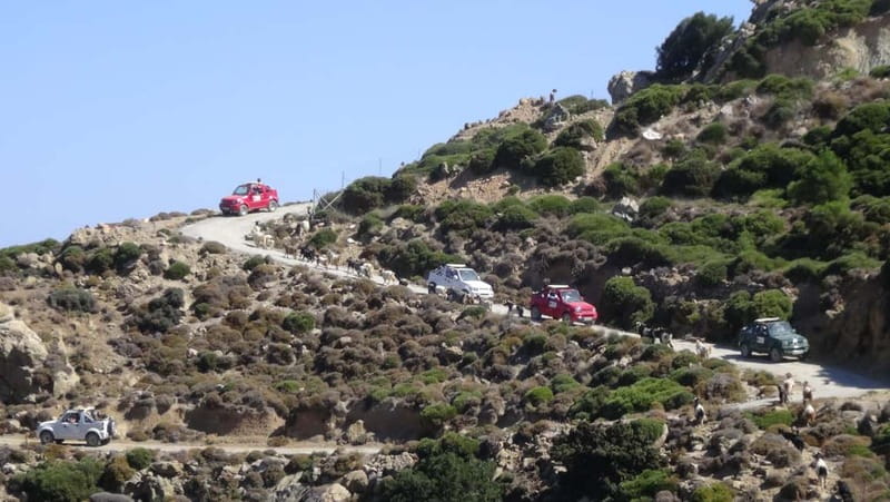 Jeep Driving Tour to Thripti Mountains and typical villages - Kavousi and an olive tree measured in millennia