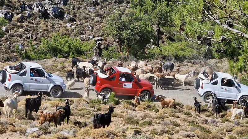 Jeep Driving Tour to Thripti Mountains and typical villages - From your hotel to Ierapetra’s safety briefing
